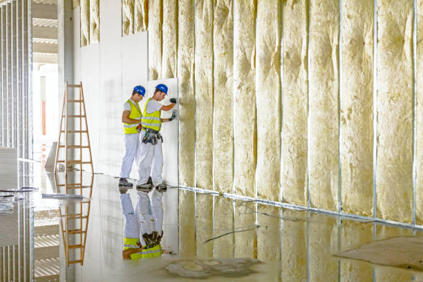 Best Eco-Friendly or Green Insulation Solutions  in Santa Fe, NM